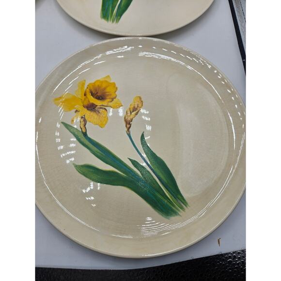 Jonquil by Universal Set of‎ 4 Luncheon Plates White Body, Yellow Flower & Bud - Picture 3 of 11